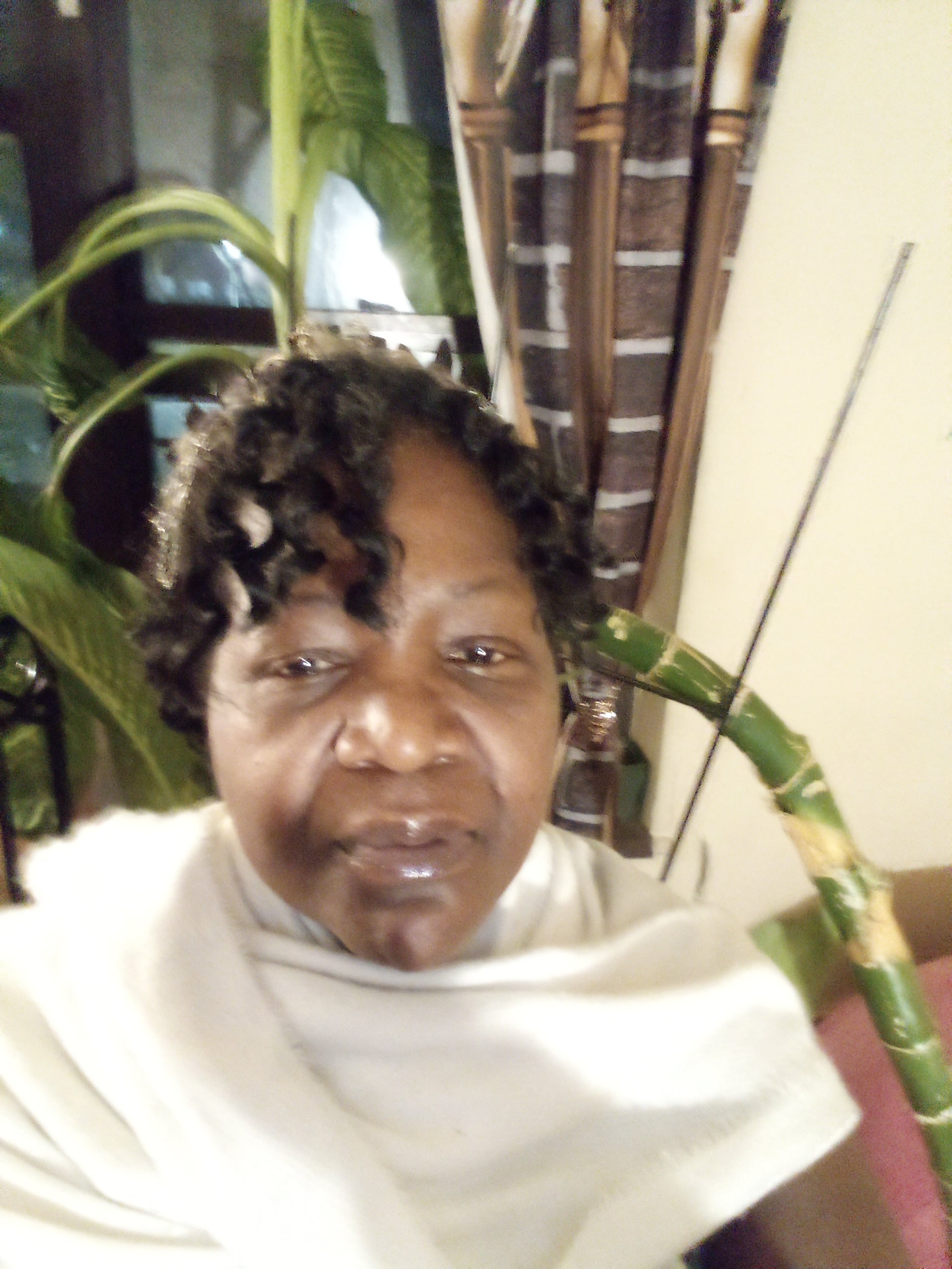 Meet Your Neighbor: Sileah
